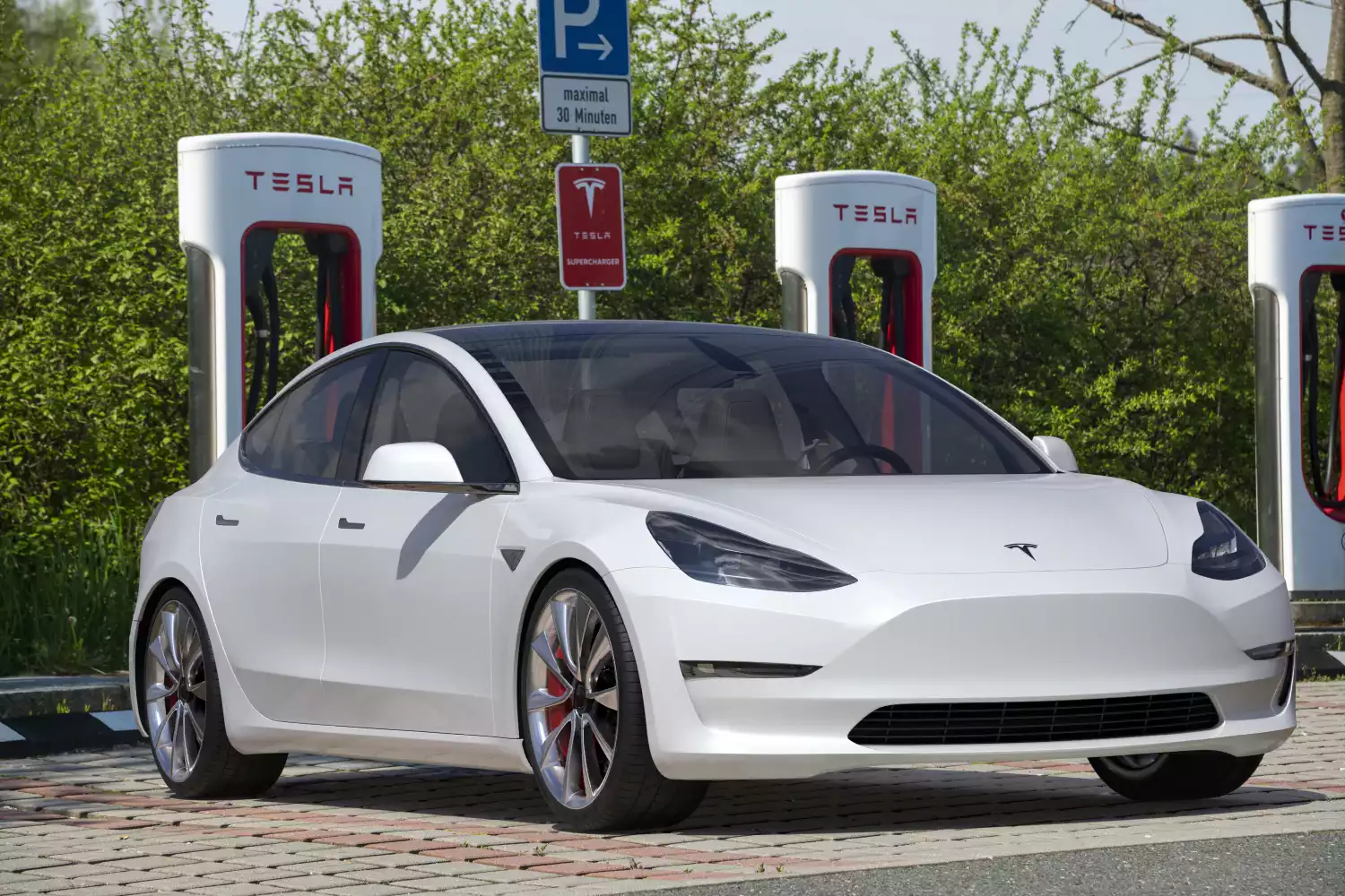 trash containers for Tesla Model 3