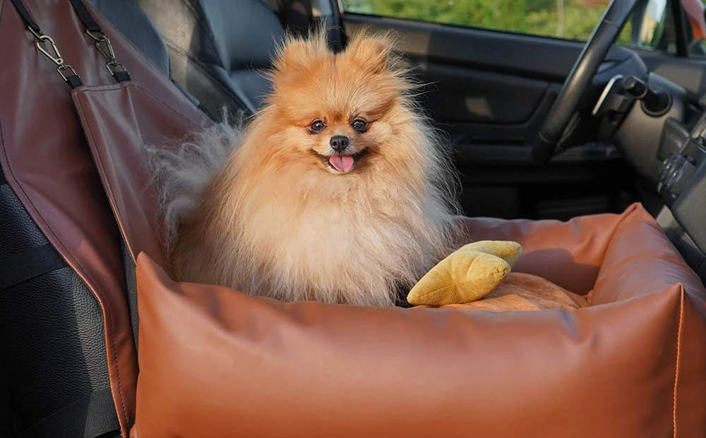 Miniature American Shepherds Dog Car Seat for GMC Sierra