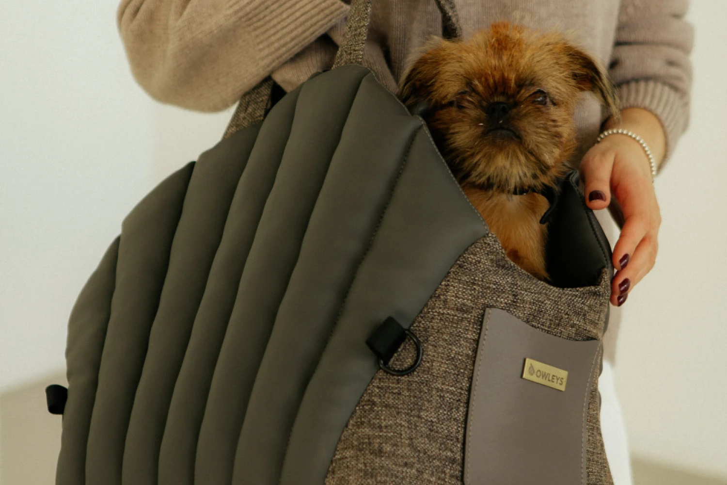 Dog Carrier Purse for Kyi-Leo
