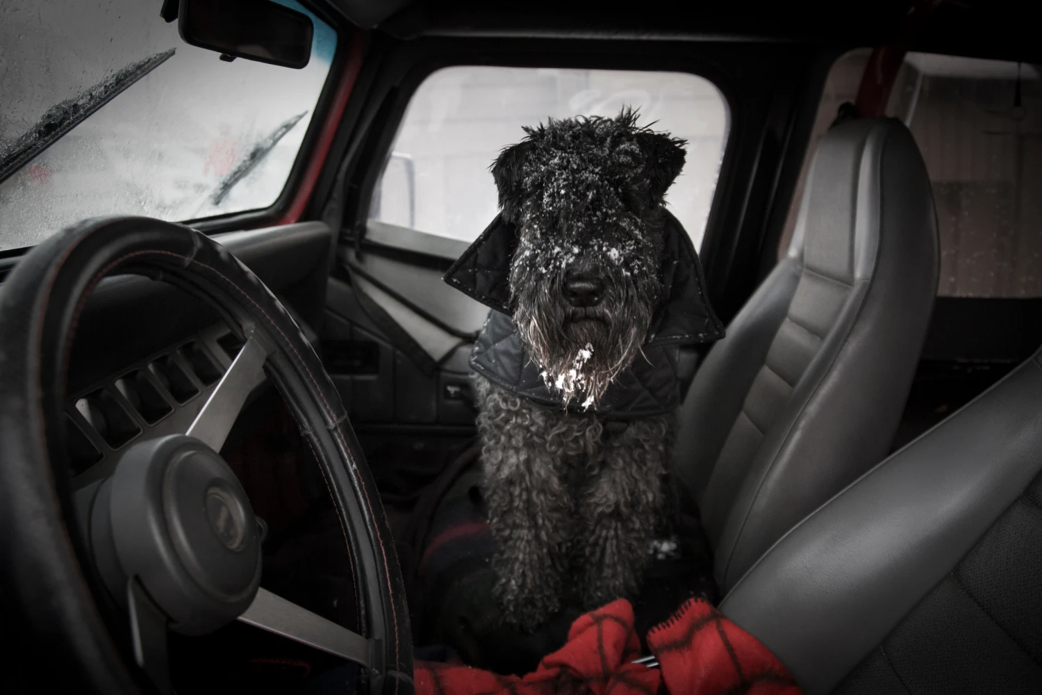 Chevrolet Blazer Dog Car Seat for Kerry Blue Terriers