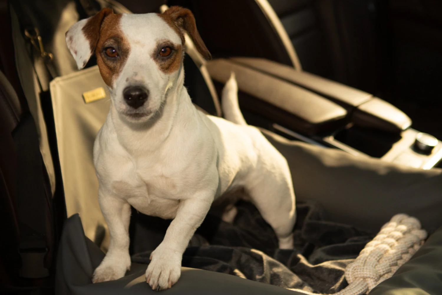 Chevrolet Blazer Dog Car Seat for Kerry Blue Terriers